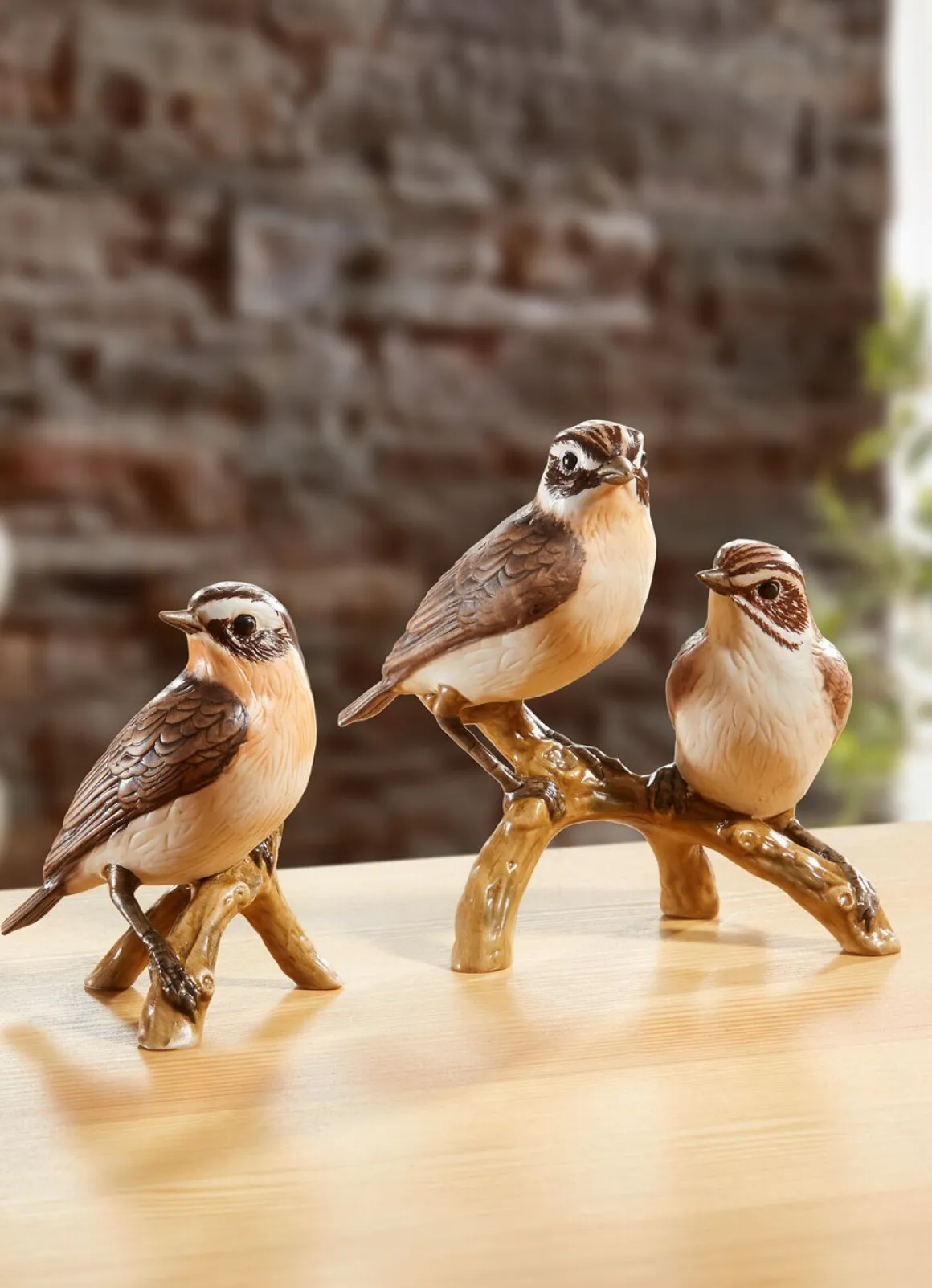 Braunkehlchen - Vogel des Jahres 2023