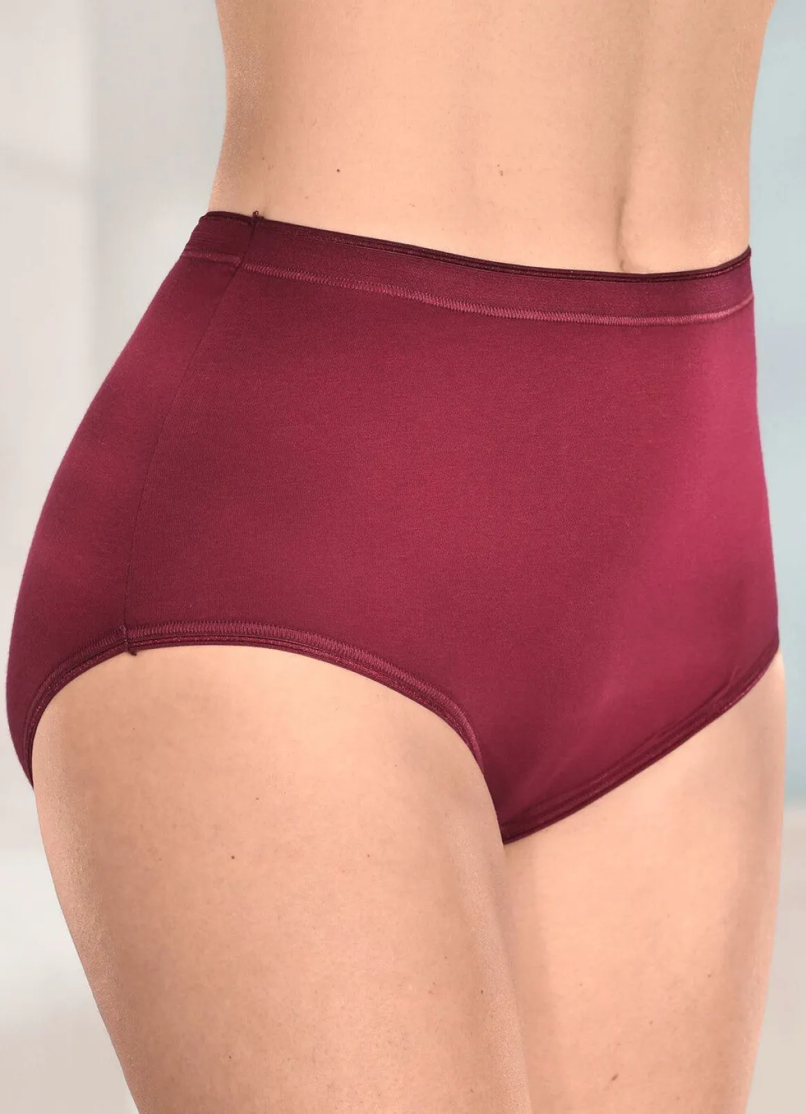 brio lingerie Fünferpack Slips mit elastischen Abschlüssen