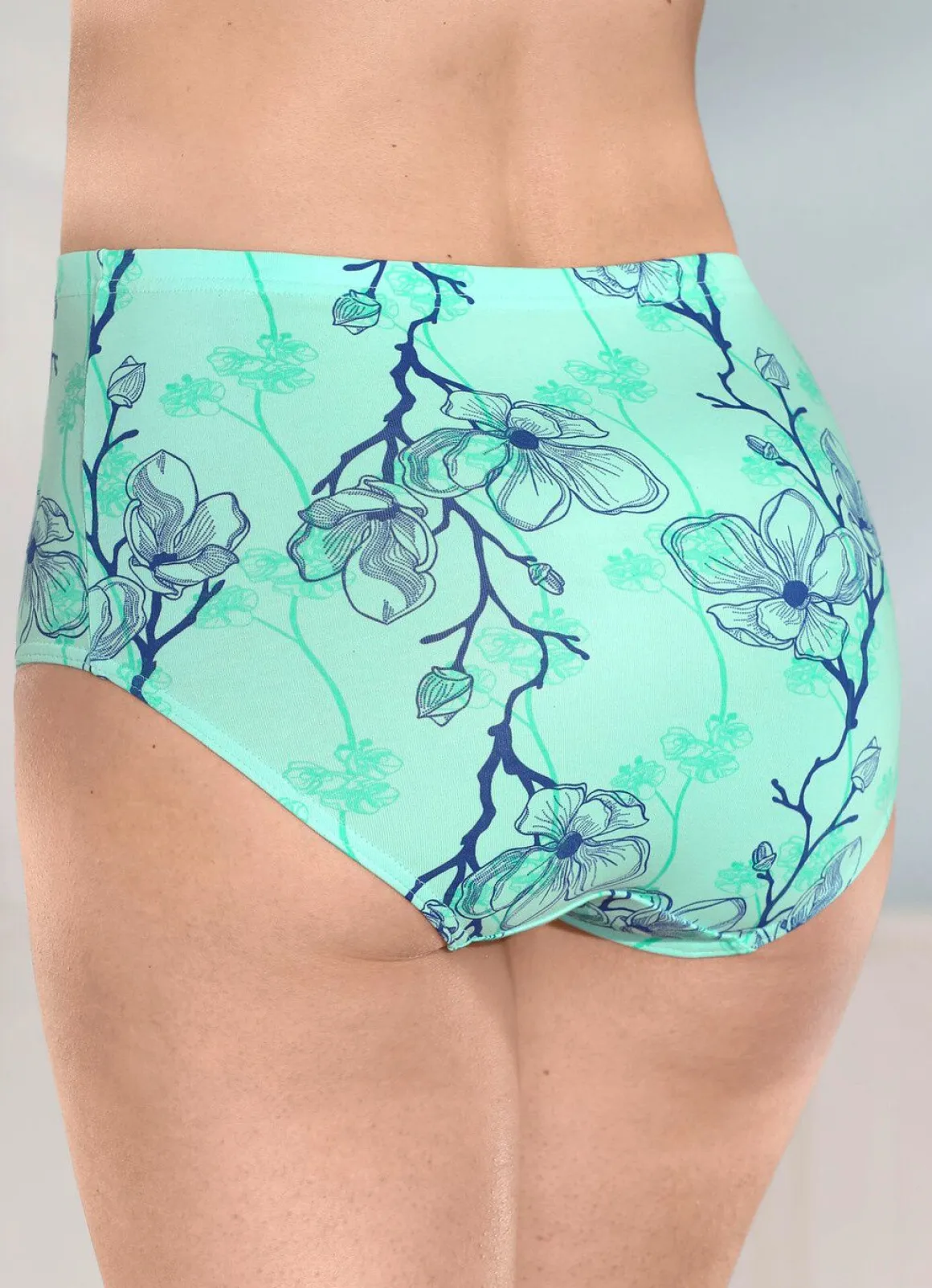 brio lingerie Viererpack Slips mit hübschem Floraldessin