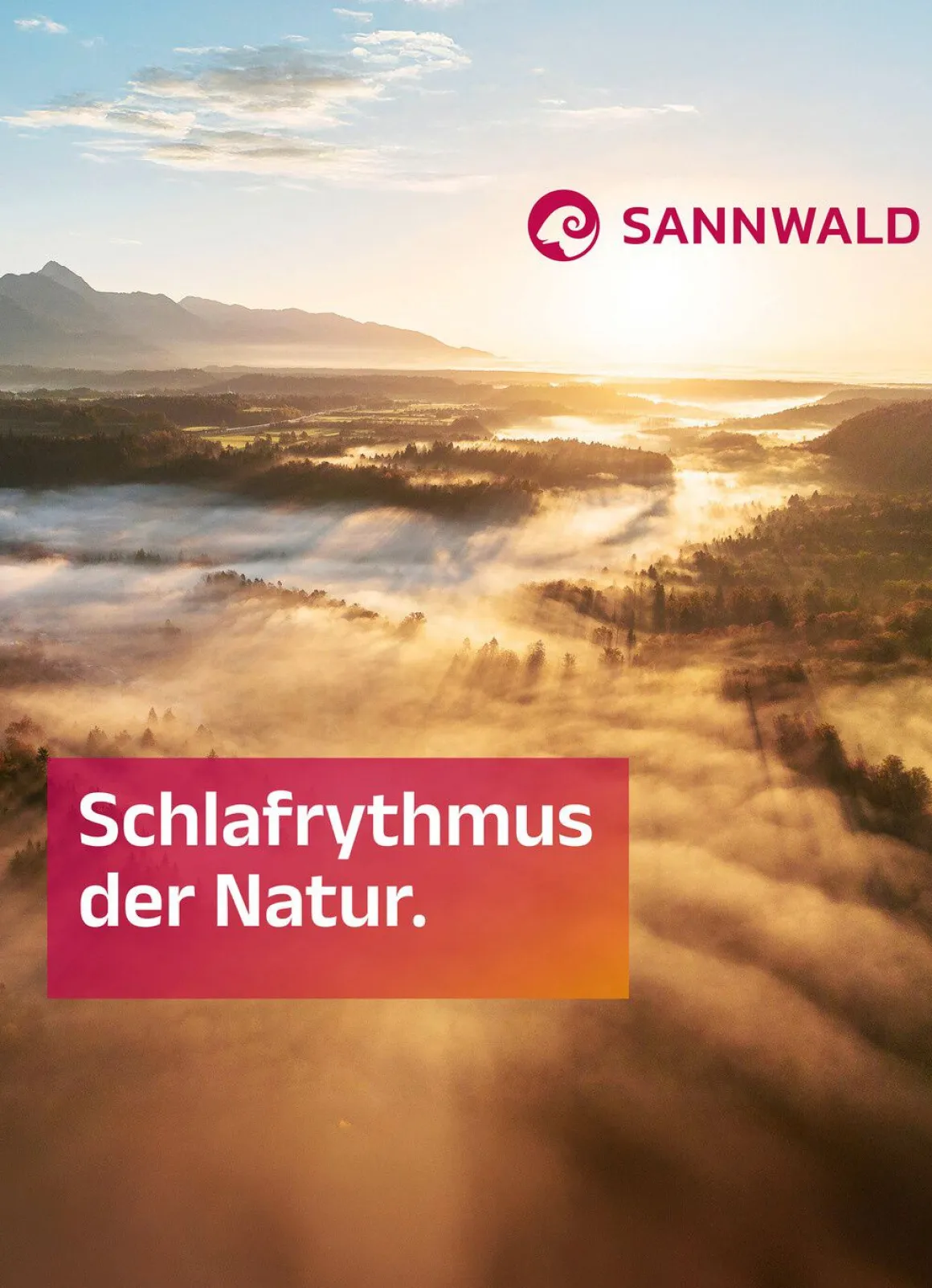 Daunendecken mit Medicott®-Ausrüstung – natürlicher Schutz für erholsamen Schlaf