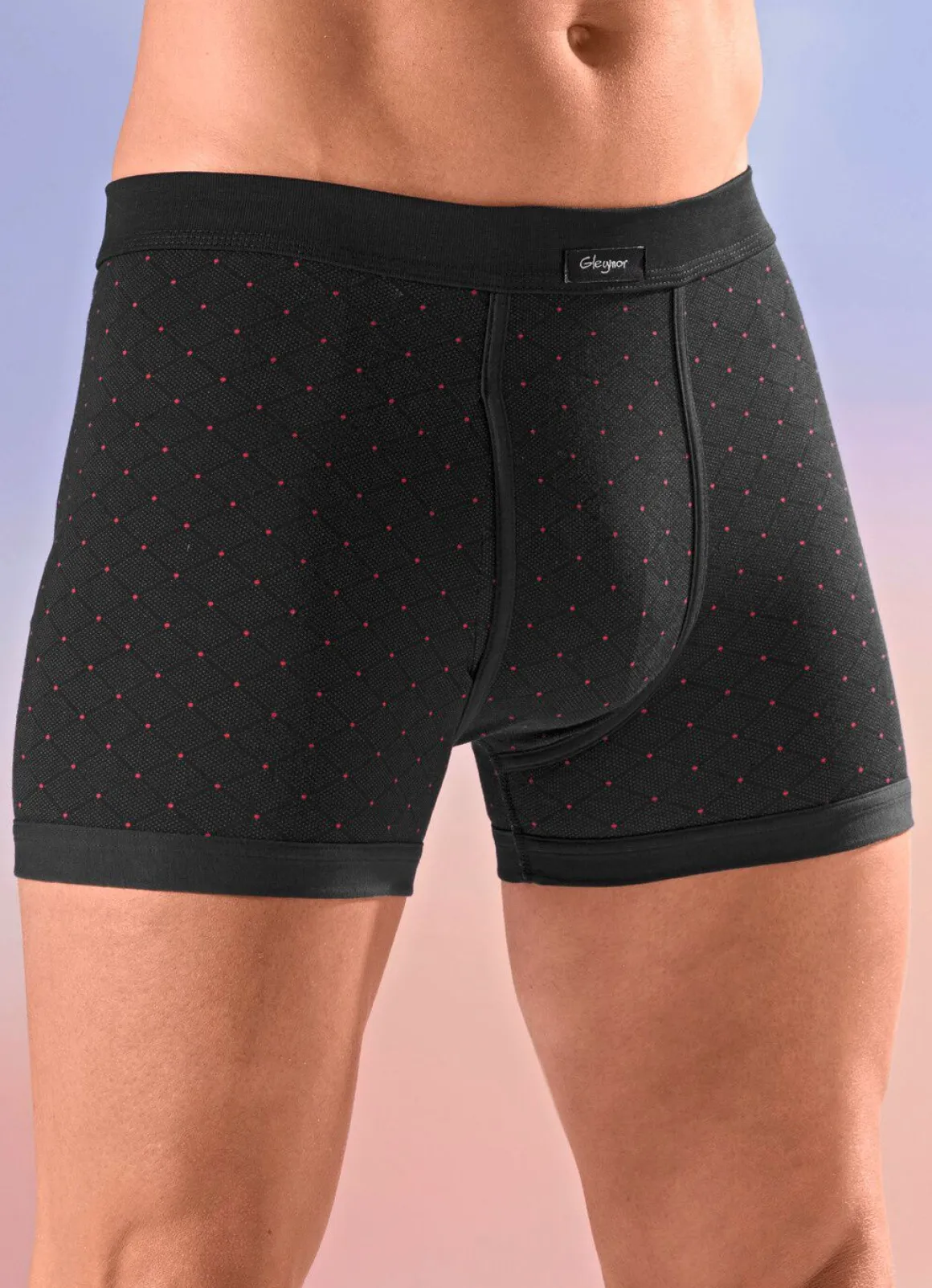 Viererpack Unterhosen mit Alloverdessin